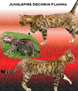 Junglefire Flame